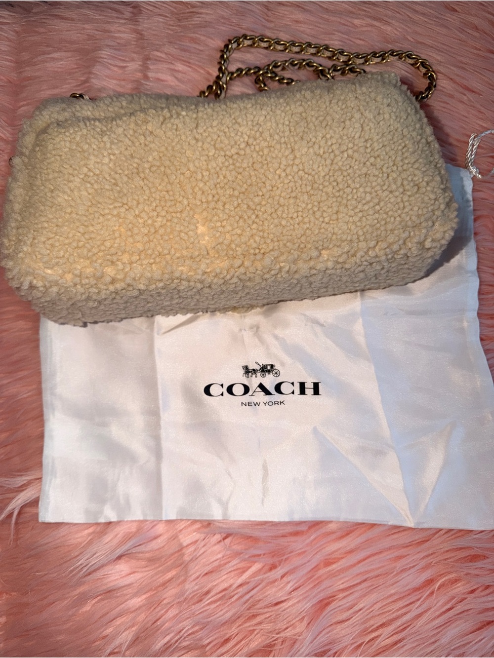 Coach Cream tabby 26 Shoulder Bag with Gold Chain - Picture 3 of 8